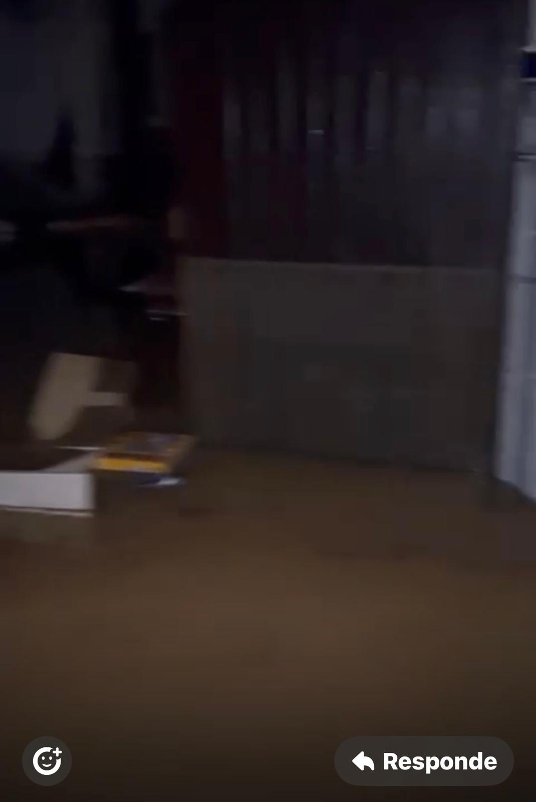 Foto de ASUNCIÓN FOLGADO SORIANO